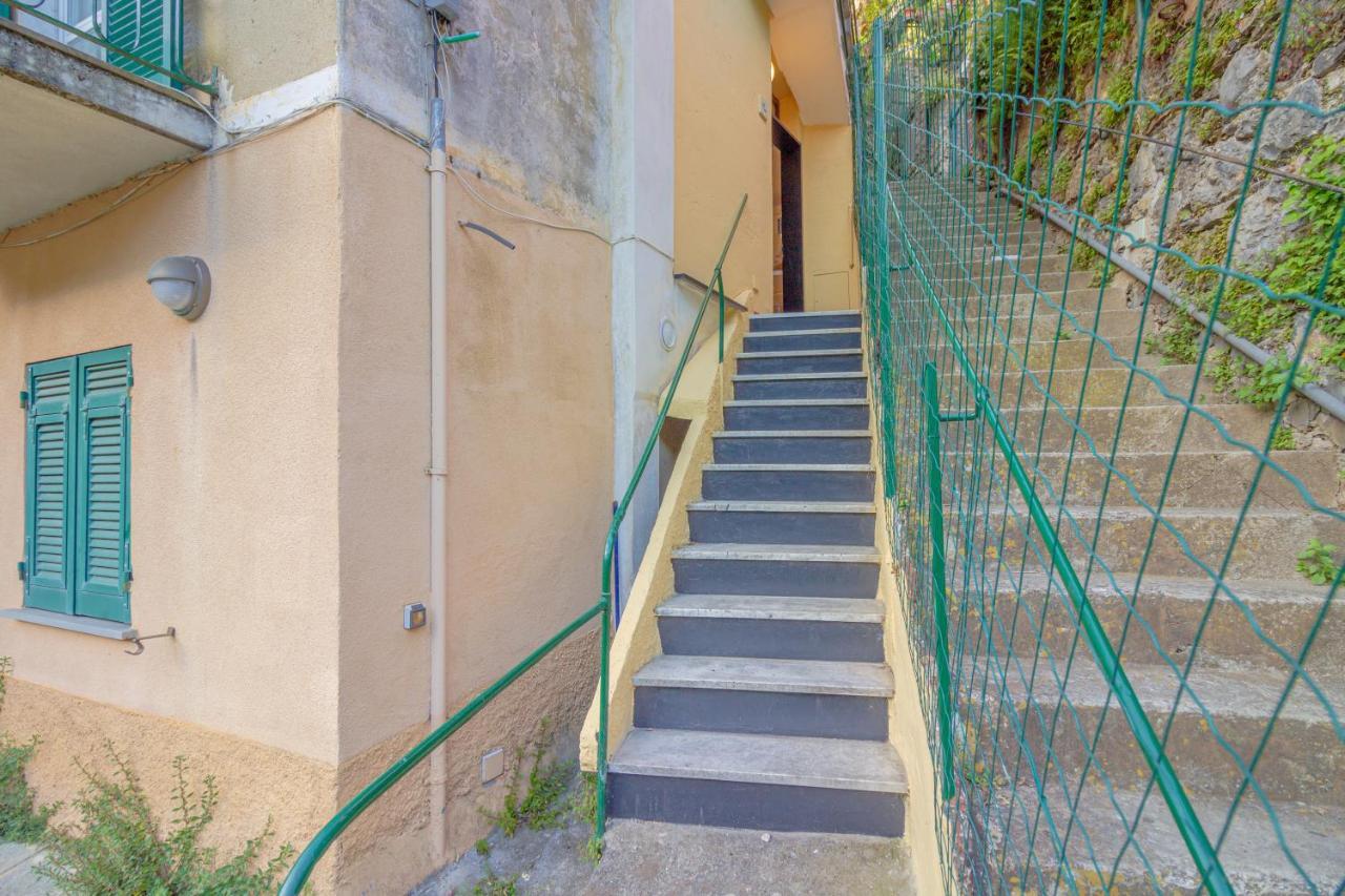 Blue Dolphin By Portofinohomes * Portofino